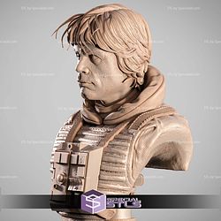 Luke Skywalker Pilot Portrait Bust STL Files