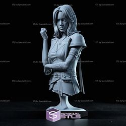 Lune Clair Obscur Expedition 33 V3 Bust STL Files