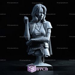 Lune Clair Obscur Expedition 33 V3 Bust STL Files