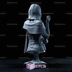 Lune Clair Obscur Expedition 33 V3 Bust STL Files