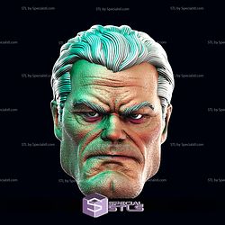 Custom Head STL Collection - Old Bruce Wayne V2