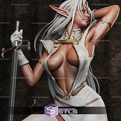 Pirotess Record Lodoss War V3 STL Files