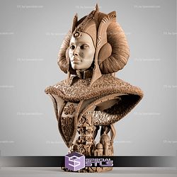 Princess Padme Portrait Bust STL Files