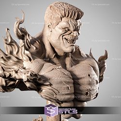 Red Hulk Portrait Bust STL Files