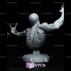 Spiderman Bust 154mm STL Files