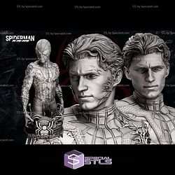 Spiderman No Way Home Bust STL Files