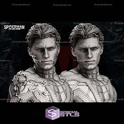 Spiderman No Way Home Bust STL Files