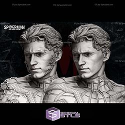Spiderman No Way Home Bust STL Files