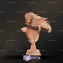 Star Sapphire Green Lantern Bust STL Files
