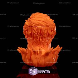 Super Basic STL Leo