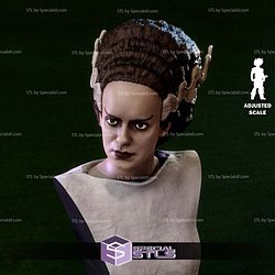 The Bride of Frankenstein Bust V2 STL Files