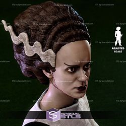The Bride of Frankenstein Bust V2 STL Files