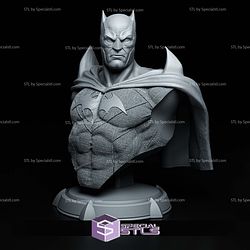 Thomas Wayne Flashpoint Bust STL Files