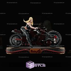 Trish Devil May Cry on Motor STL Files