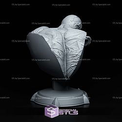 Venom Bust 159mm STL Files