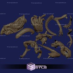 Xenomorph and NSFW Body STL Files