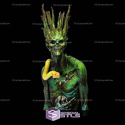 Ydrasil Bust 1-10 STL Files