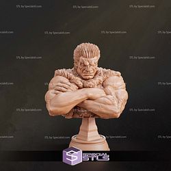 Zodd Berserk Bust STL Files