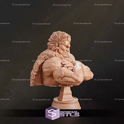 Zodd Berserk Bust STL Files