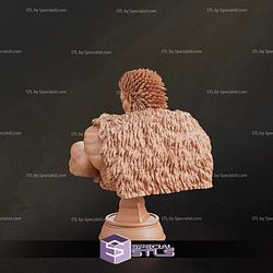 Zodd Berserk Bust STL Files