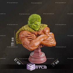 Zodd Berserk Bust STL Files