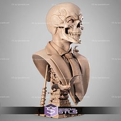 Black Mask Portrait Bust STL Files