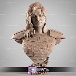 Care Dune Portrait Bust STL Files