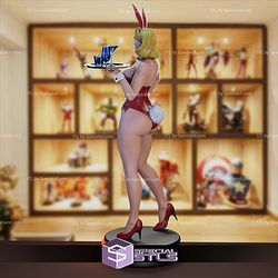 Classic Playboy Bunny waitress STL Files