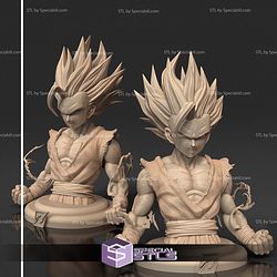 Gohan SSJ2 Injury Bust STL Files