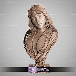 Gwen Stacy 2025 Portrait Bust STL Files