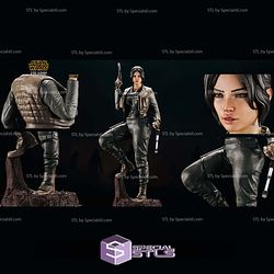 Jyn Erso Star Wars STL Files