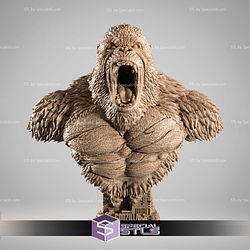 Kong Portrait Bust STL Files
