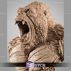 Kong Portrait Bust STL Files