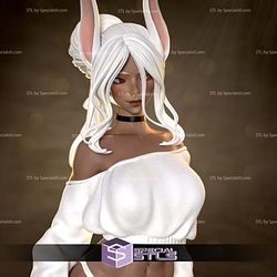 Mirko Beautiful Boku no Hero STL Files
