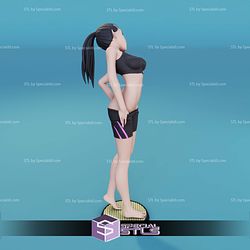 Nagatoro Ijiranaide Nagatoro san STL Files