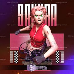 Sakura Battle Bust STL Files