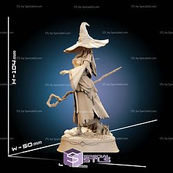 Recluse Elden Ring STL Files