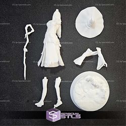Recluse Elden Ring STL Files