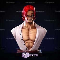 Shanks Bust Detail STL Files