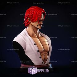 Shanks Bust Detail STL Files
