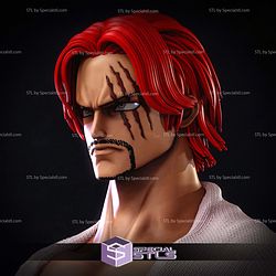Shanks Bust Detail STL Files