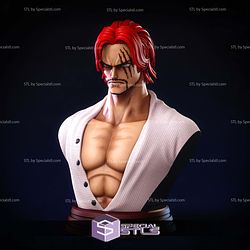 Shanks Bust Detail STL Files
