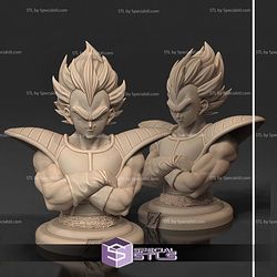 Vegeta Arms Crossed Bust STL Files