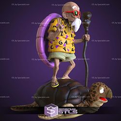Master Roshi Summer 3D Printing Models