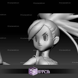 Pokemon STL Collection Gym Leader Flannery