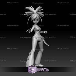 Pokemon STL Collection Gym Leader Flannery