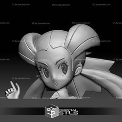 Pokemon STL Collection Gym Leader Roxanne