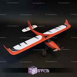 Airplane Model C 3D Printed RC Models