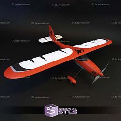Airplane Model C 3D Printed RC Models