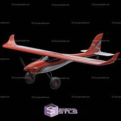 Airplane Model C 3D Printed RC Models
